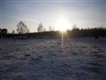 7.Grödby jan 10 Låg sol.JPG