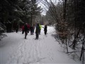 7.Skogsrunda 6 jan 2010.Vinterskog.JPG